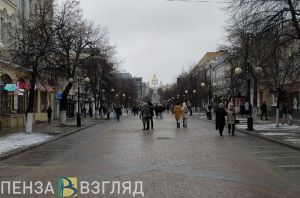 Потепление, сохранение лесов и угроза убийством - новости Пензенской области за 29 января
