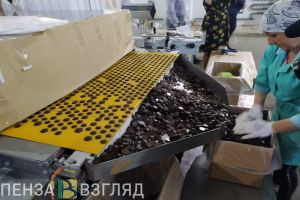 Индекс промышленного производства пензенских предприятий превысил средние показатели ПФО и РФ