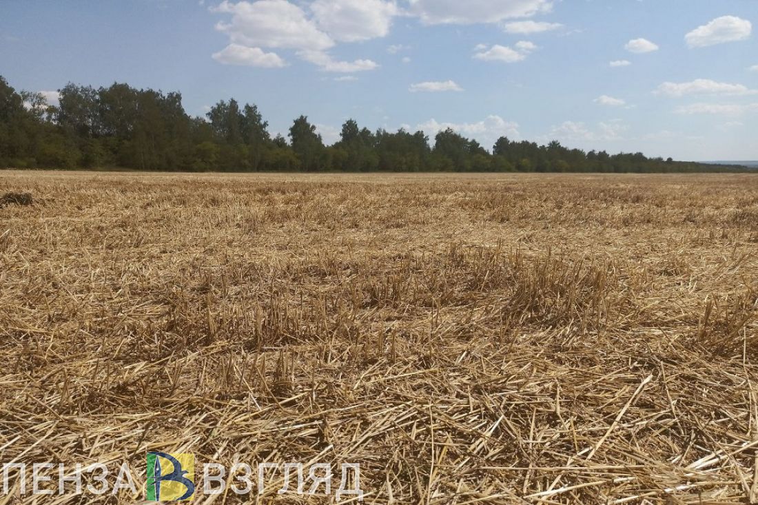 Аграриями Пензенской области приобретено 17,8 тысяч тонн минеральных удобрений