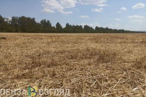 Аграриями Пензенской области приобретено 17,8 тысяч тонн минеральных удобрений