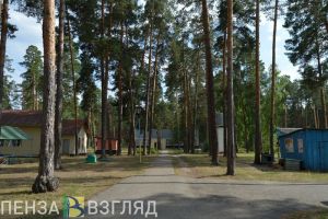 Озвучено, в каких лагерях и санаториях будут отдыхать летом дети Заречного