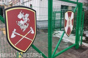 Охране Росгвардии могут позволить использовать электрошокеры и глушилки для беспилотников