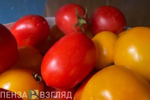В Пензенской области более чем на 40% подорожали огурцы, на 33% - помидоры