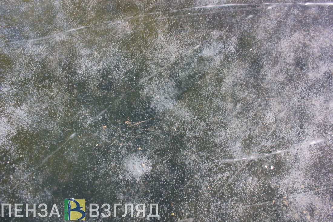 В праздничные дни в Пензе будут организованы сеансы массового катания на коньках (6+)