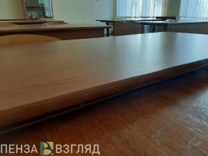 В пензенском Минобре сообщили о закрытых из-за ОРВИ и гриппа классах