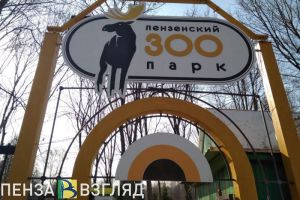 На Масленицу в зоопарке юные пензенцы смогут покататься на пони и поучаствовать в конкурсах (0+)