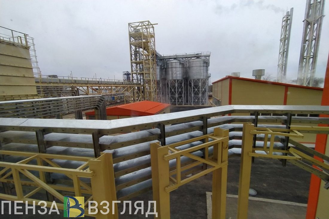 Поставлен абсолютный рекорд Пензенской области в одной из отраслей сельского хозяйства