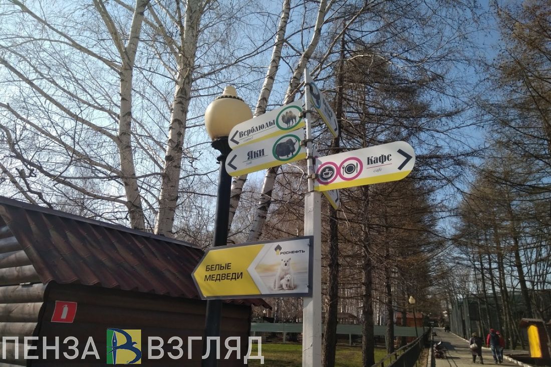 В Пензе молодежь сможет ходить в зоопарк по «Пушкинской карте»