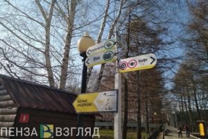 В Пензе молодежь сможет ходить в зоопарк по «Пушкинской карте»
