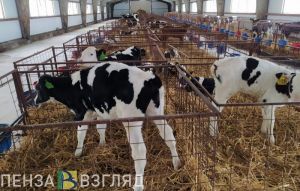 На поддержку пензенских аграриев выделят 1,6 млрд рублей