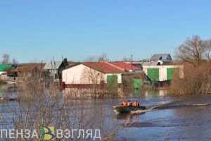 В пензенском Минобре прокомментировали возможность перехода школ на удаленку из-за паводка