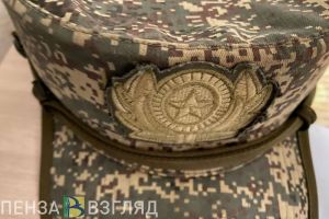 Совфед одобрил законопроект об уголовной ответственности за дискредитацию участников СВО