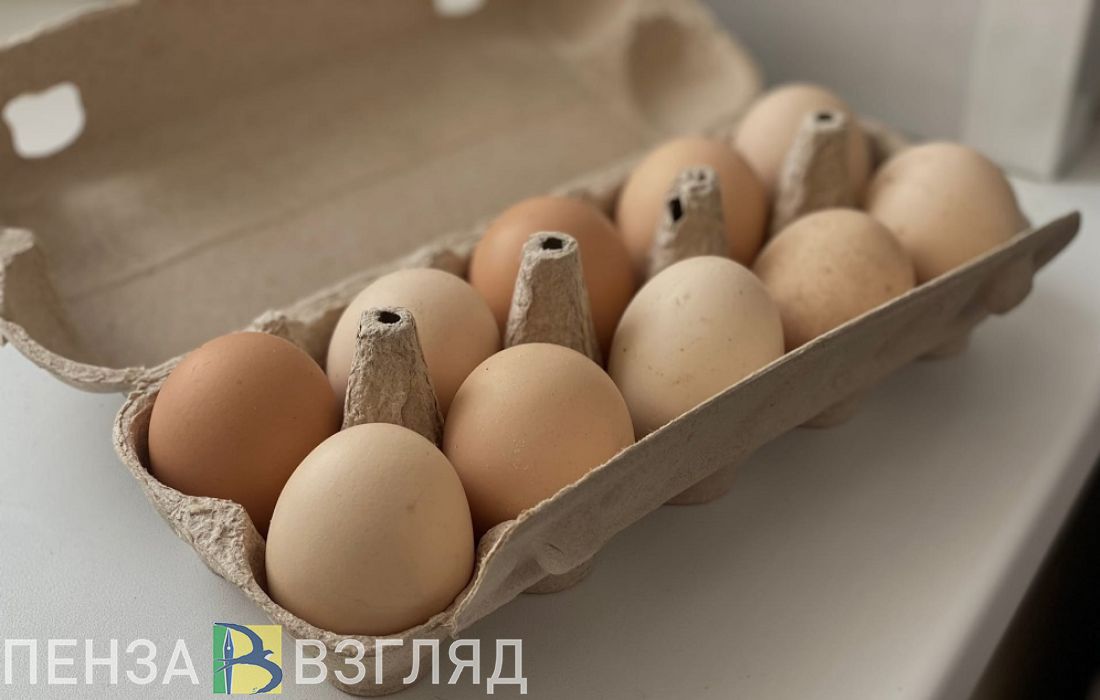 За два месяца в Пензенской области произвели на 1,5 млн яиц больше, чем за тот же период 2022 года