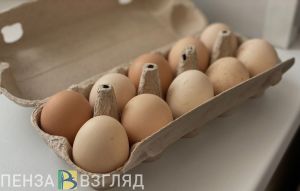 За два месяца в Пензенской области произвели на 1,5 млн яиц больше, чем за тот же период 2022 года