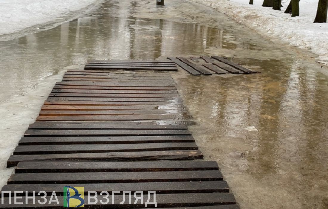 Подтопления и эвакуация жителей: новости о прохождении паводка в Пензенской области за 15 марта