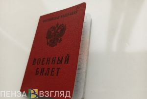 Аннулирование повесток, средства на цирк и опасный уровень воды: новости Пензенской области за 16 марта