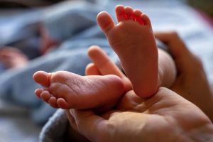 До 775 628 рублей: названы самые крупные единовременные выплаты на детей в 2023 году