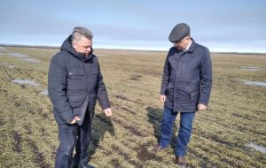 Калентьев оценил состояние озимых в хозяйствах Пензенской области