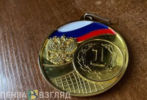 Пензенские дартсмены вернулись домой с медалями всероссийских соревнований