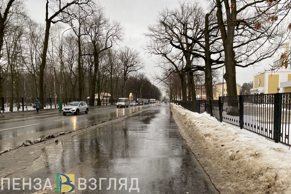 Лесовосстановление, смертельные разборки и налоговые доходы - новости Пензы за 22 марта