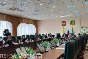 На быстровозводимые конструкции в лагере «Юность» Пенза получит более 30 миллионов рублей