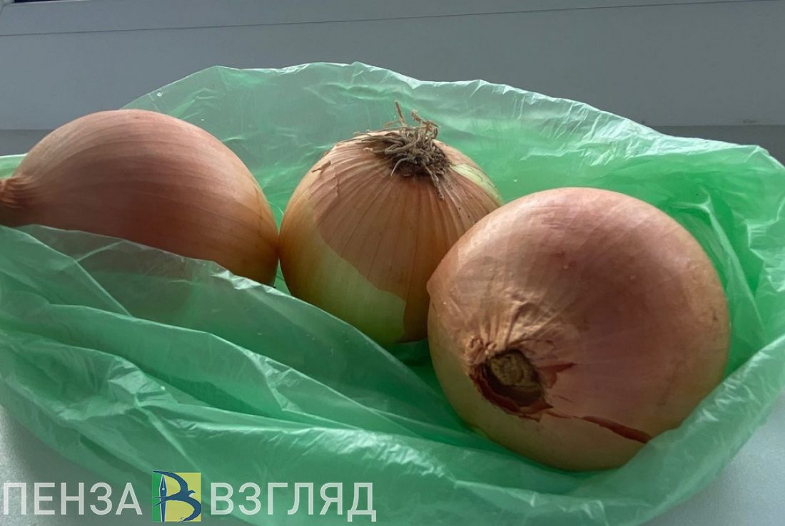 Репчатый лук в Пензенской области подорожал более чем на 62%