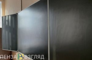 Минпросвещения России займется профориентацией пензенских школьников