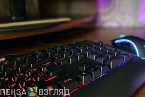 Пензенским родителям рассказали, как скачать платформу «Сферум» для школьных чатов