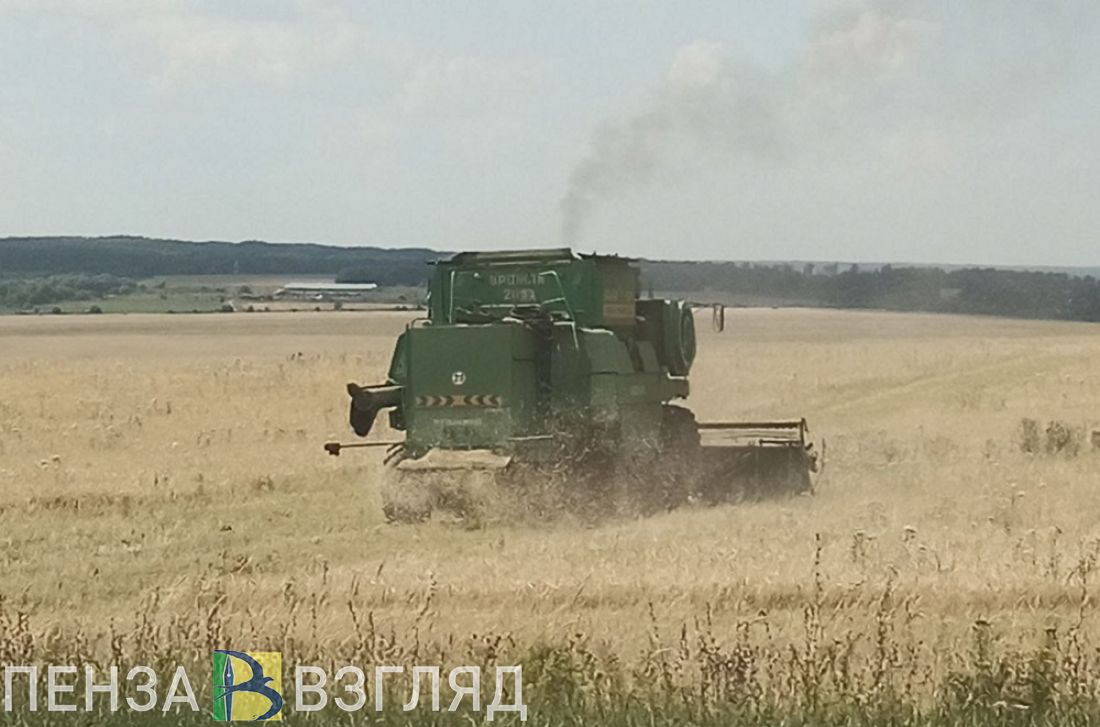 В Сердобском районе могут построить завод по переработке пшеницы