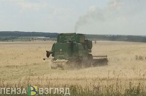 В Сердобском районе могут построить завод по переработке пшеницы