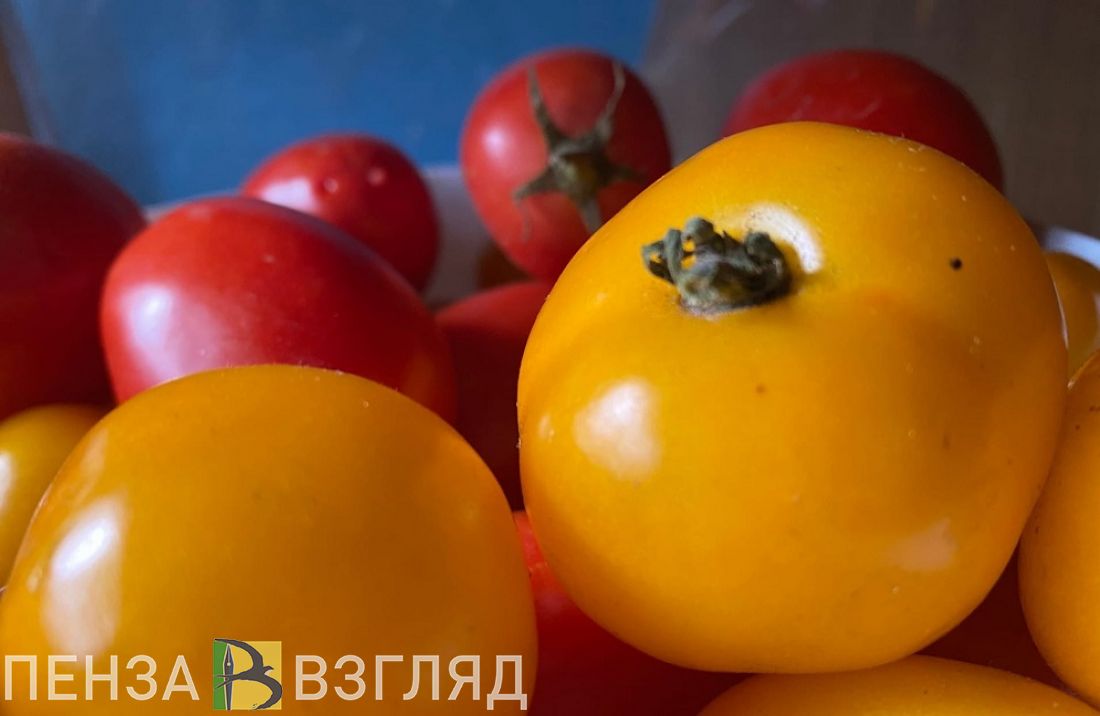 В Пензе спрогнозировали снижение цен на помидоры