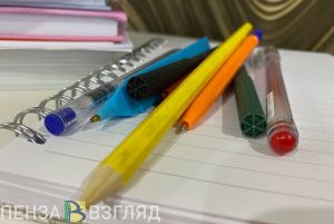 Пензенская область на 8 месте среди регионов России по числу открытых ячеек РДДМ