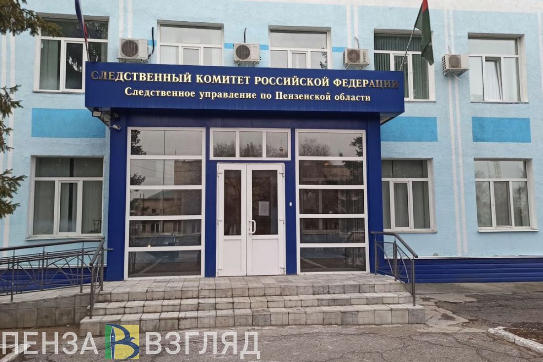 Убийство младенца, школьников проверят, мобилизованные в отпусках - новости Пензы и области за 2 апреля