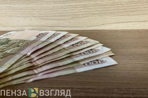 На предприятии в Пензенской области не выплатили зарплату 217 работникам