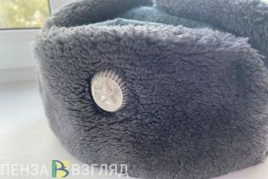Пензенским экс-военнослужащим могут дать льготы при поступлении в вузы