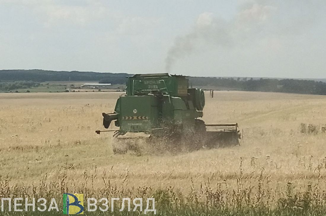 В Пензенской области планируют перерабатывать не менее 70% произведенного сырья