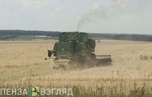 Старт посевной кампании, теплая погода и лесные пожары - новости Пензенской области за 10 апреля