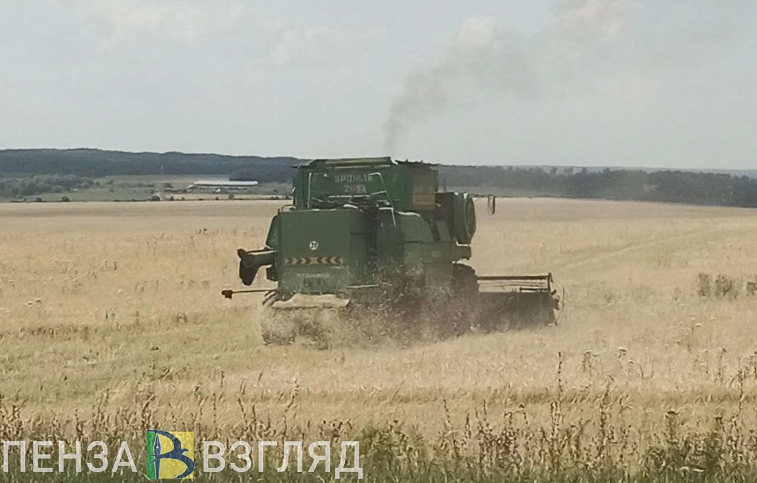 В Пензенской области для весеннего сева потребуется 102 тысячи тонн семян яровых культур