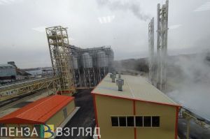 Пензенцам рассказали, в каких отраслях не хватает рабочих рук