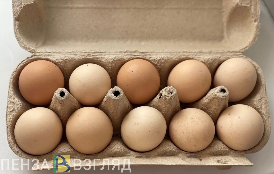 Стало известно, сколько яиц произвели в Пензенской области с начала года