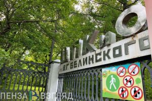 Руководство парков областного центра изучит предложение жительницы Пензы
