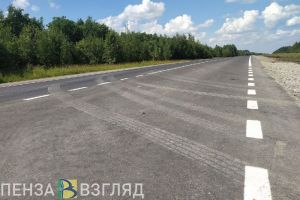 Пензенцам рассказали, куда обращаться по поводу уборки конкретной дороги