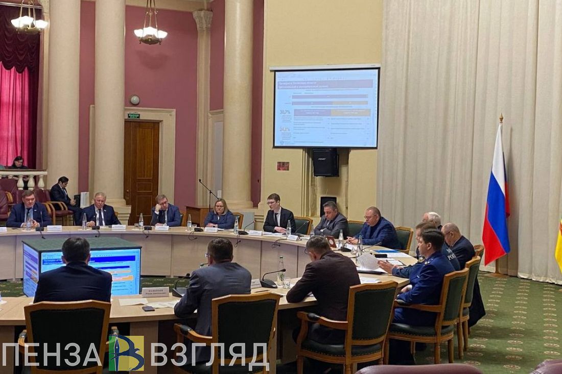 Представители Совфеда оценили снижение административного давления на бизнес в Пензенской области