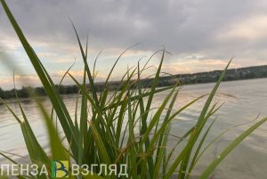 Стали известны подробности смерти пензенца, утонувшего в Суре