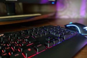 Пензенцам стало известно о мерах поддержки для IT-бизнеса в регионе