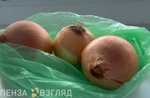 В Пензенской области планируют посадить знаменитый бессоновский лук