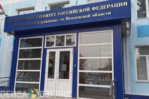 Вынесен приговор жителю Пензы, который убил мать за пьянство