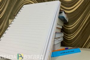 Специалисты пензенского Минобразования проинспектировали школы Малосердобинского района