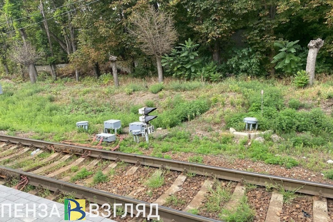 Убийство мужчины, заморозки по области и осмотр набережной губернатором - новости Пензы и региона за 5 мая