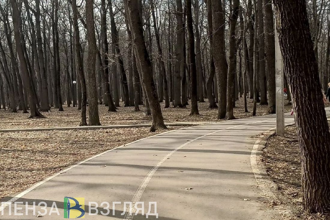 Пензенцев приглашают поучаствовать в «Зеленом марафоне»